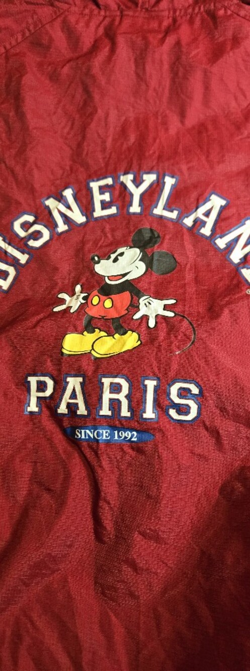 Vintage Disneyland Paris Red Windbreaker Jacket Mickey Mouse Packable Large